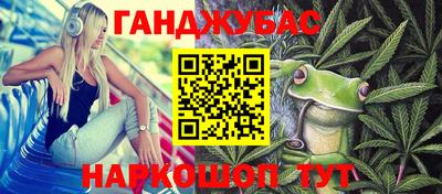 стафф Моздок