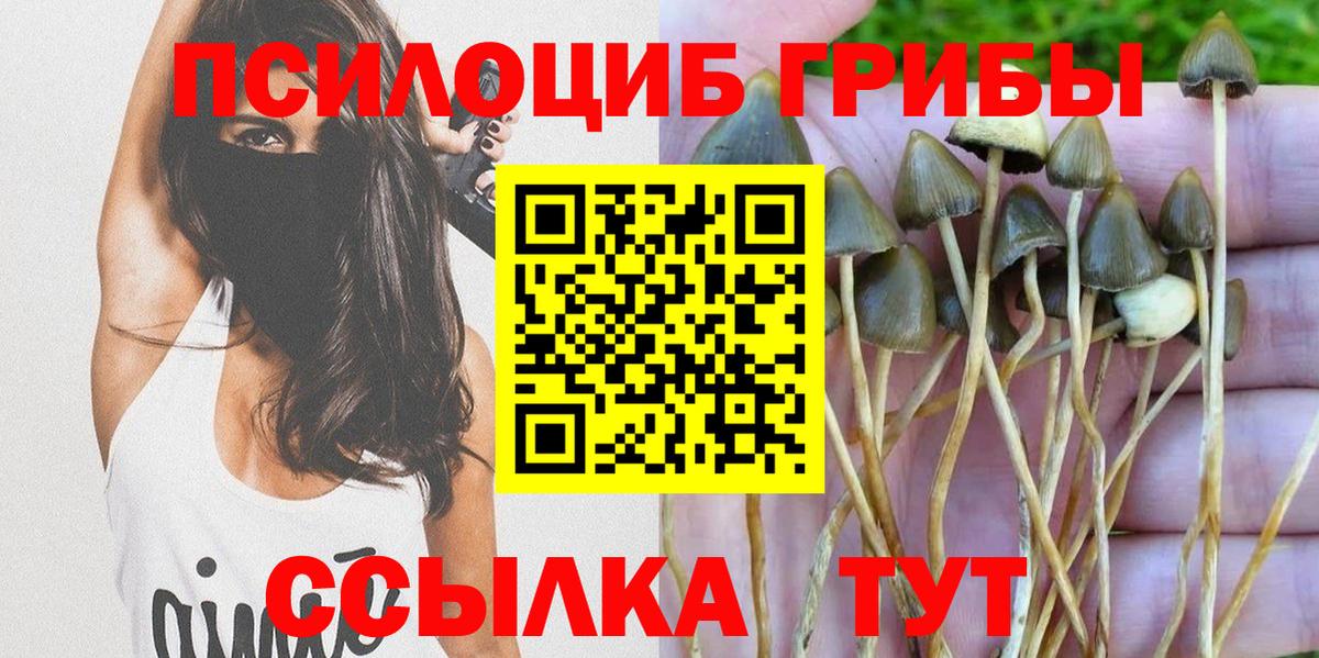 Арсеньев  Галлюциногенные грибы Cubensis  Галлюциногенные грибы мицелий  Вход с VPN 