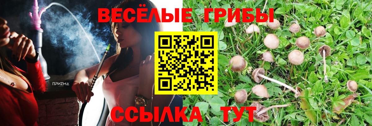 Галлюциногенные грибы Psilocybine cubensis Арсеньев
